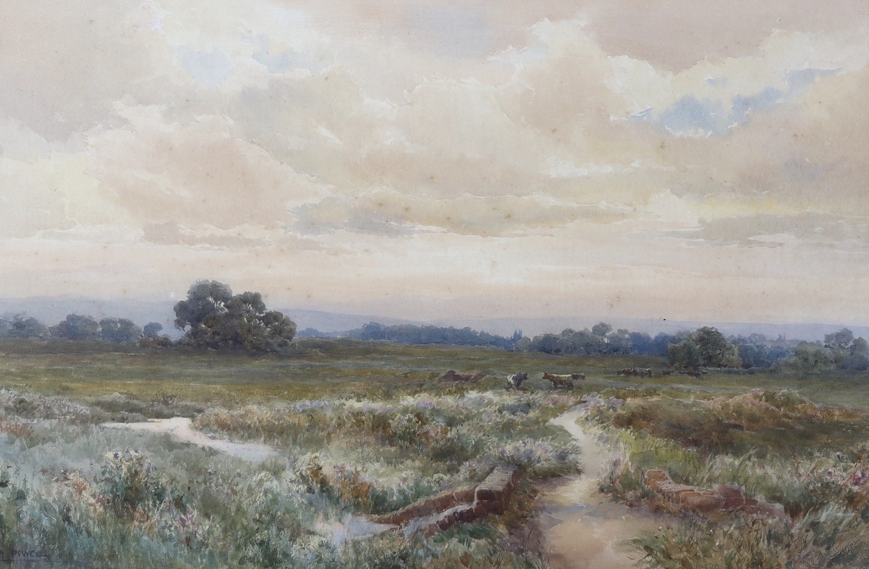 Joseph Powell (1876-1981), watercolour, 'The Marsh between Pulborough and Amberley', signed, 35 x 53cm